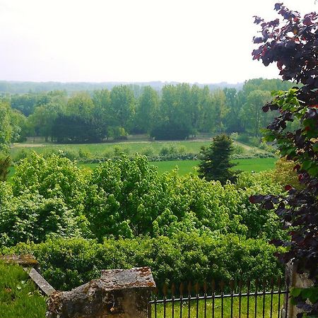 Gites Troglodytes Du Chateau De L'Etoile Vernou-sur-Brenne Eksteriør billede